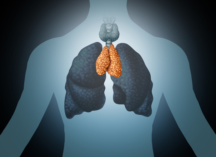 Got immunity? Thank your thymus