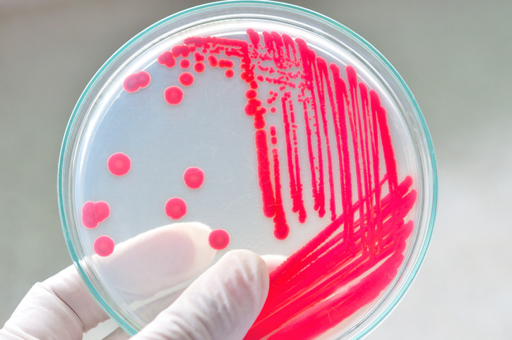 Long-lasting C. diff infections: A threat to the gut