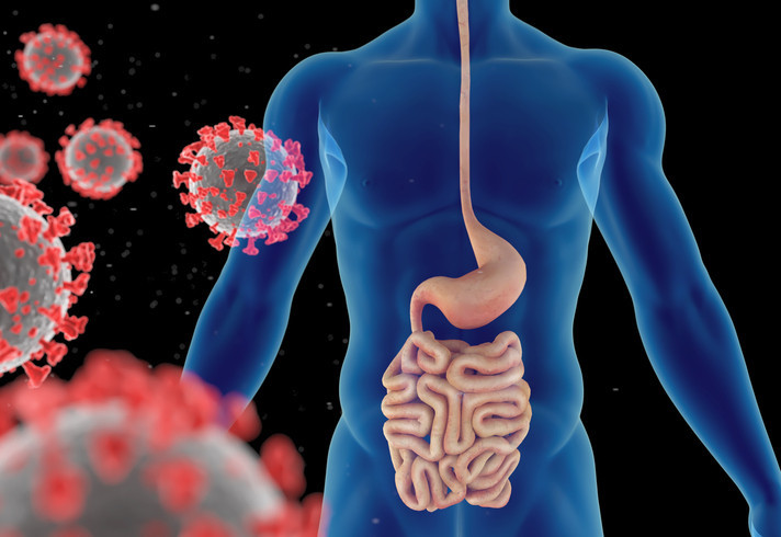 Can long COVID affect the gut?