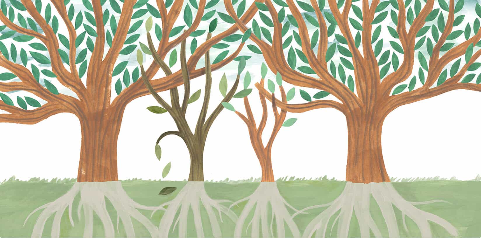 An illustration of a grove of trees that depicts the roots beneath the ground, which are as large as the branches reaching toward the sky.
