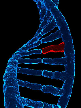 Shared genes link depression, schizophrenia, and three other mental illnesses featured image