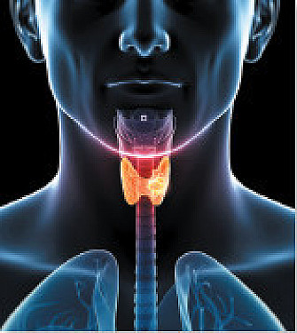 Thyroid hormone: How it affects your heart featured image