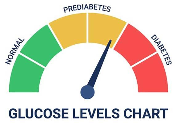 Glucose levels shown as a meter chart with sections in green, yellow, and red labeled with normal, prediabetes, diabetes and a black needle pointing toward the upper section of prediabetes.