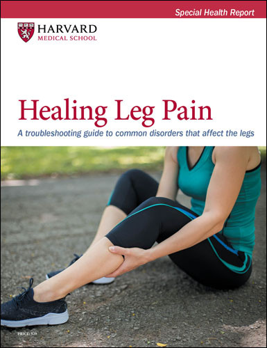 LEG0423_Cover
