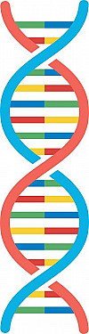 Do genes or lifestyle determine your health? featured image