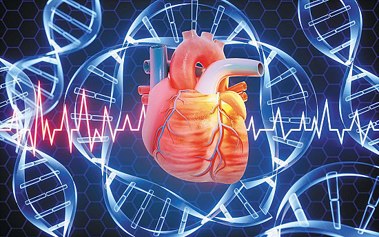 Direct-to-consumer genetic tests for heart disease featured image
