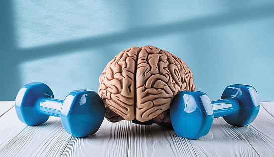 Weight training may protect the brain from cognitive decline featured image