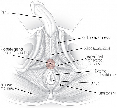 Finding help for pelvic pain: A patient’s story featured image